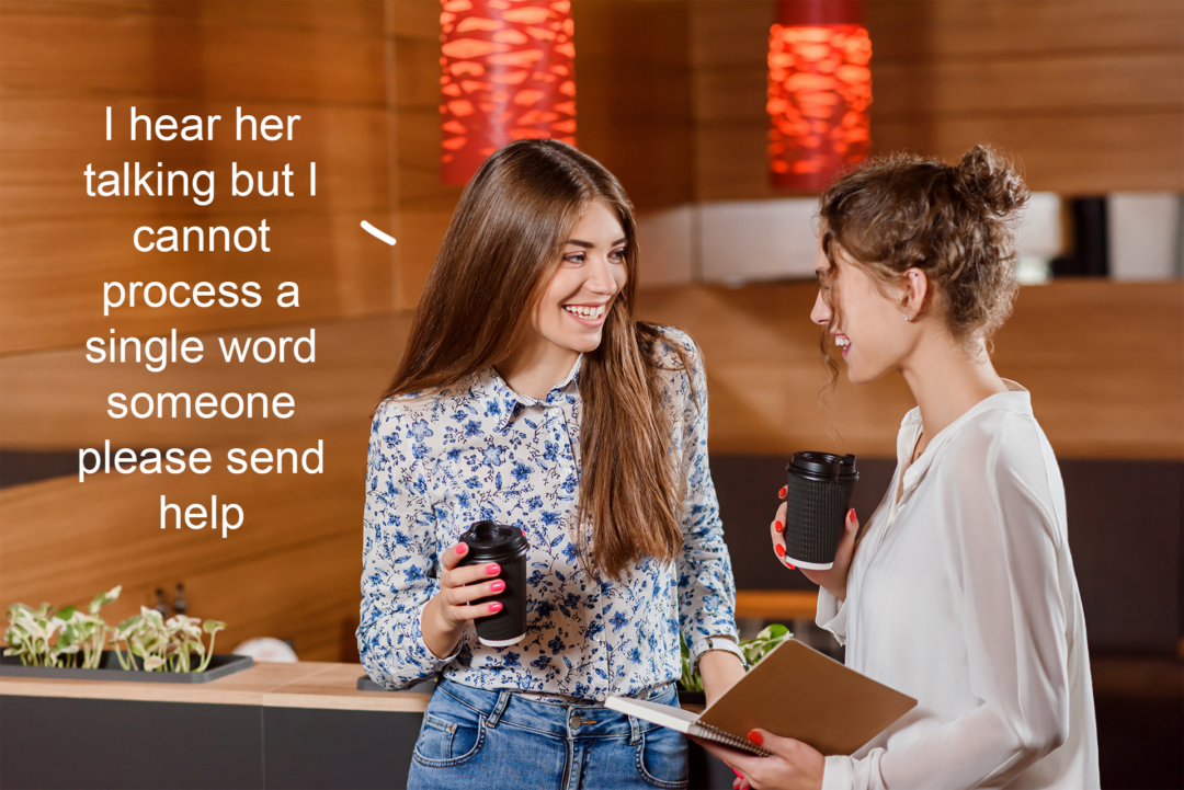 meme-women-talking-cannot-process-web
