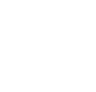 The Squazzed "ZZ" logo in white, with an askew orientation.