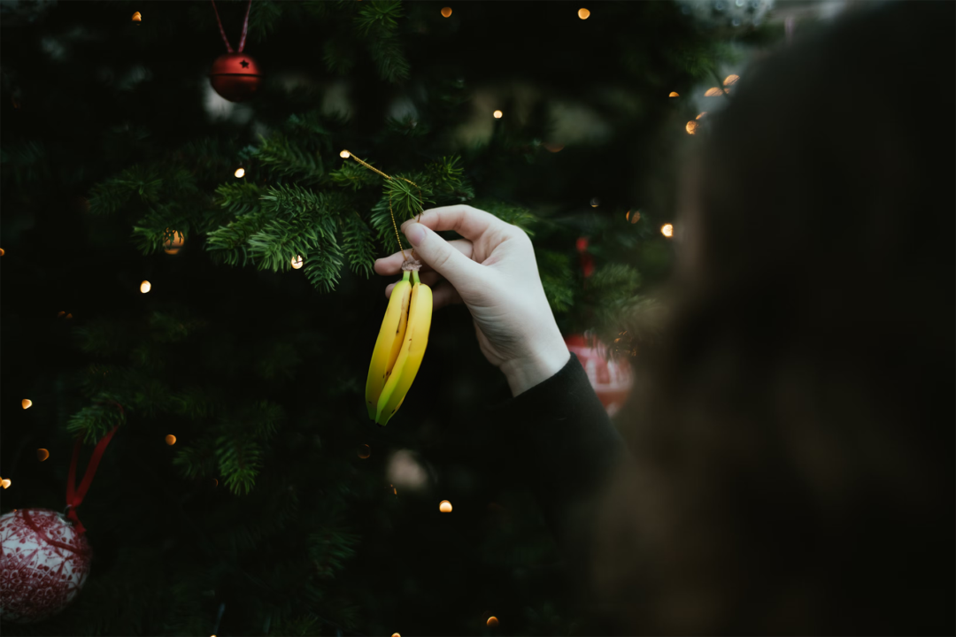 A lady places a banana ornament on the Christmas tree.