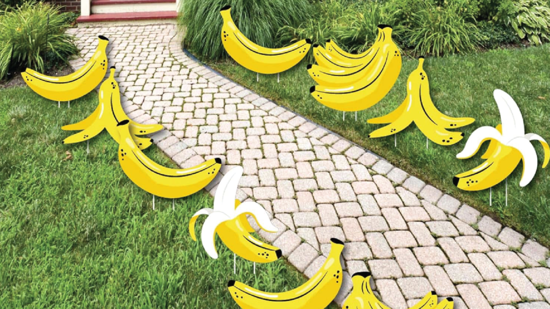 Banana lawn ornaments line a pathway.