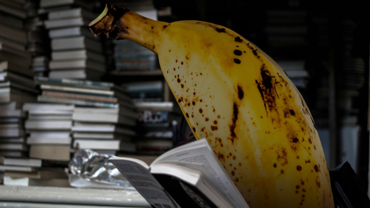 Photo of a banana reading at their desk, surrounded by towers of books.